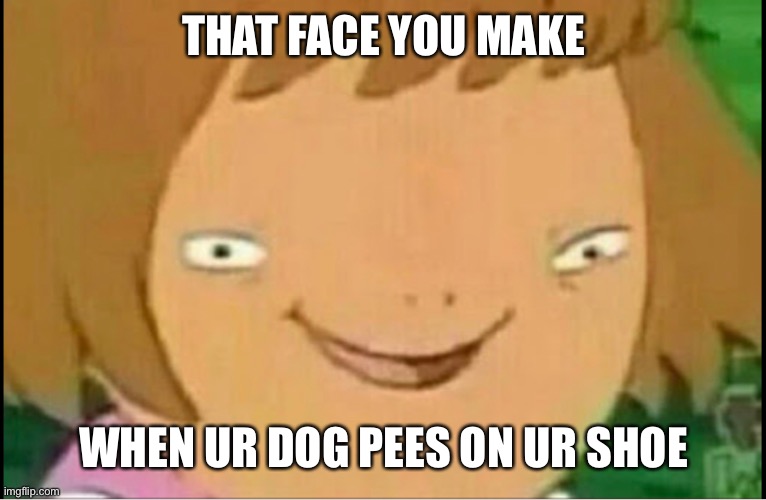 That face | THAT FACE YOU MAKE; WHEN UR DOG PEES ON UR SHOE | image tagged in memes | made w/ Imgflip meme maker