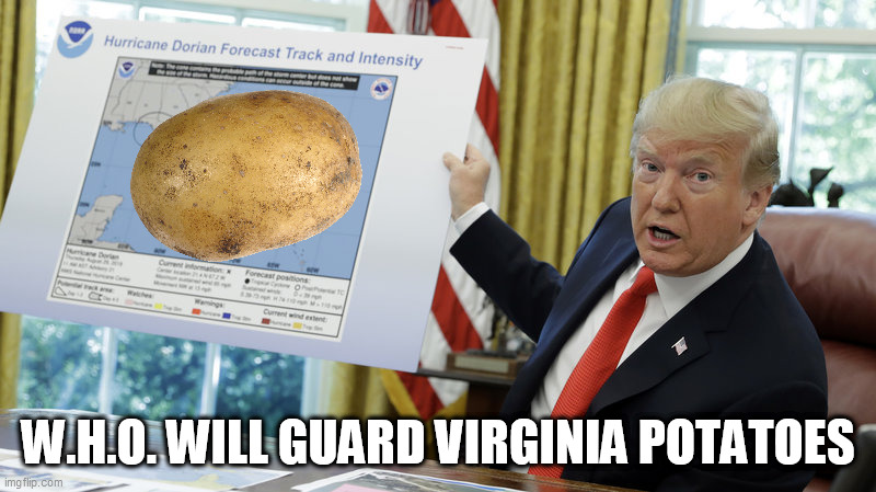 The Ayes Have It | W.H.O. WILL GUARD VIRGINIA POTATOES | image tagged in world health organization,potato,virginia,dorian,farmers,who | made w/ Imgflip meme maker