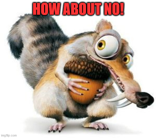 scrat weekend ice age | HOW ABOUT NO! | image tagged in scrat weekend ice age | made w/ Imgflip meme maker