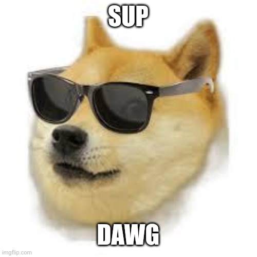 MLG DOGE | SUP; DAWG | image tagged in mlg doge | made w/ Imgflip meme maker