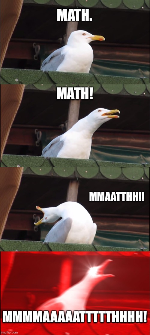 MATH! | MATH. MATH! MMAATTHH!! MMMMAAAAATTTTTHHHH! | image tagged in memes,inhaling seagull | made w/ Imgflip meme maker