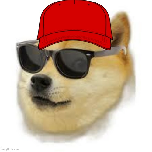 MLG DOGE | image tagged in mlg doge | made w/ Imgflip meme maker
