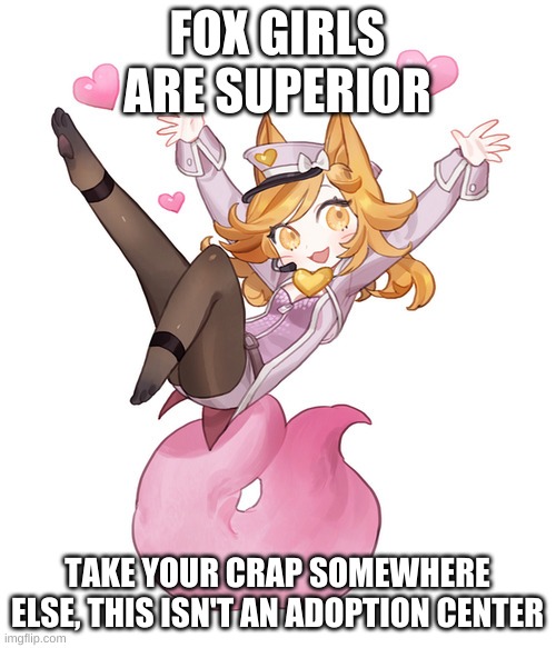 fox girl | FOX GIRLS ARE SUPERIOR TAKE YOUR CRAP SOMEWHERE ELSE, THIS ISN'T AN ADOPTION CENTER | image tagged in fox girl | made w/ Imgflip meme maker