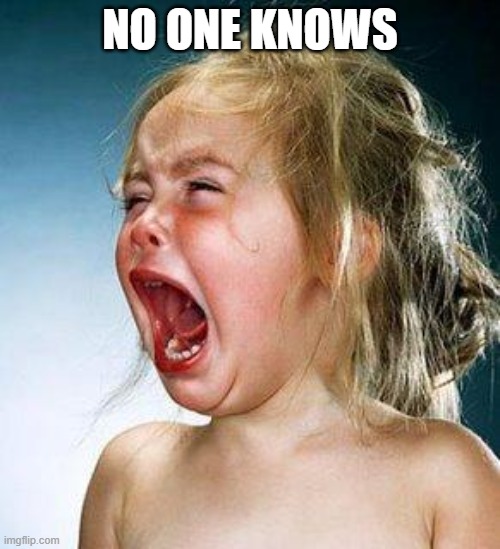 no one knows | NO ONE KNOWS | image tagged in crying girl | made w/ Imgflip meme maker