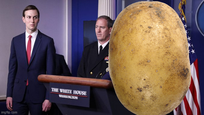 White House Press Conference w/Virginia Potato | image tagged in jared kushner,virginia,potato,navy rear admiral john polowczyk,press conference | made w/ Imgflip meme maker