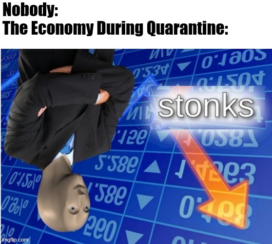 Not Stonks | image tagged in not stonks,stonks,upside down stonks | made w/ Imgflip meme maker