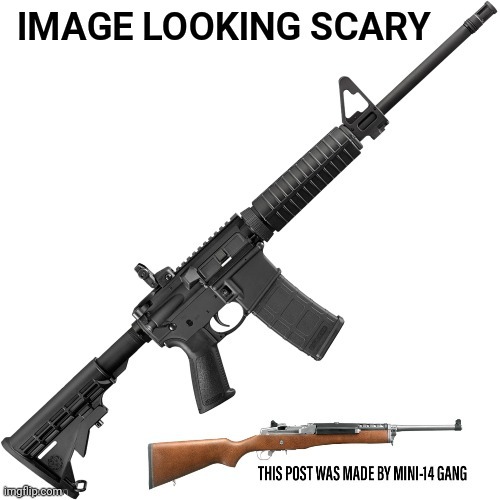 image tagged in guns,ruger,memes,dank memes,gun control,gun | made w/ Imgflip meme maker
