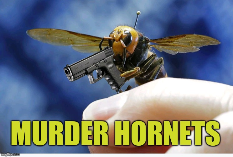 Us Navy Murder Hornet Meme