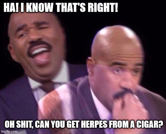 Steve Harvey Laughing Serious | HA! I KNOW THAT'S RIGHT! OH SHIT, CAN YOU GET HERPES FROM A CIGAR? | image tagged in steve harvey laughing serious | made w/ Imgflip meme maker