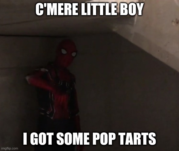 Spider Man Returns | C'MERE LITTLE BOY; I GOT SOME POP TARTS | image tagged in comedy,spiderman,dark humor | made w/ Imgflip meme maker