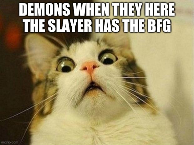 Scared Cat Meme | DEMONS WHEN THEY HERE THE SLAYER HAS THE BFG | image tagged in memes,scared cat | made w/ Imgflip meme maker