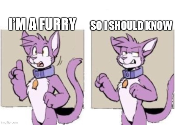 Furry hold on | I’M A FURRY SO I SHOULD KNOW | image tagged in furry hold on | made w/ Imgflip meme maker