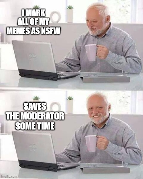 How thoughtful of you Harold. | I MARK ALL OF MY MEMES AS NSFW; SAVES THE MODERATOR SOME TIME | image tagged in memes,hide the pain harold,moderators,nsfw | made w/ Imgflip meme maker