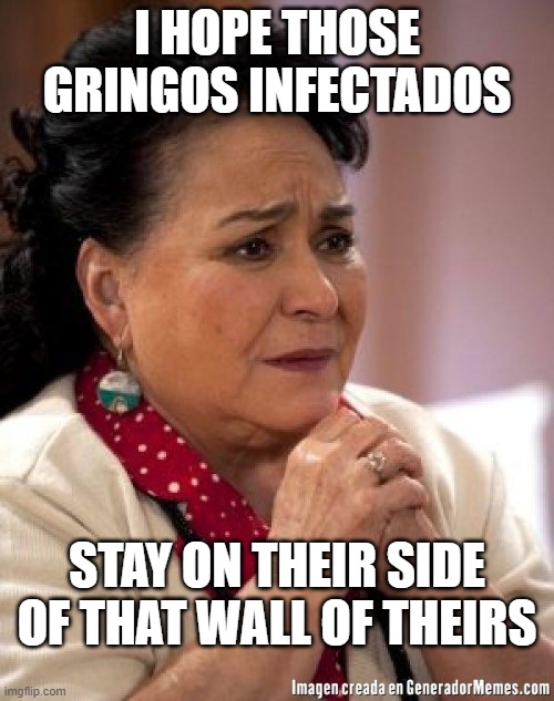 mexican too concerned mom ay mijito | I HOPE THOSE GRINGOS INFECTADOS; STAY ON THEIR SIDE OF THAT WALL OF THEIRS | image tagged in mexican too concerned mom ay mijito | made w/ Imgflip meme maker