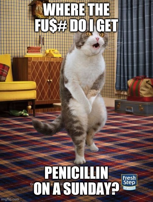 Gotta Go Cat |  WHERE THE FU$# DO I GET; PENICILLIN ON A SUNDAY? | image tagged in memes,gotta go cat | made w/ Imgflip meme maker