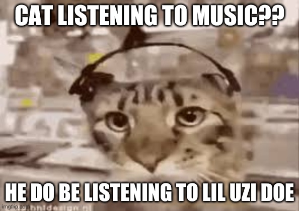 Cat music | CAT LISTENING TO MUSIC?? HE DO BE LISTENING TO LIL UZI DOE | image tagged in music,cat,lil uzi vert,vibe check | made w/ Imgflip meme maker