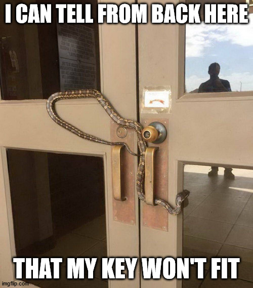I CAN TELL FROM BACK HERE; THAT MY KEY WON'T FIT | made w/ Imgflip meme maker
