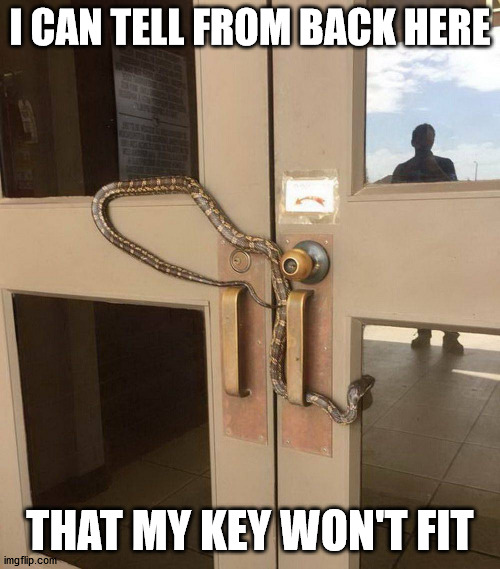 Imgflip