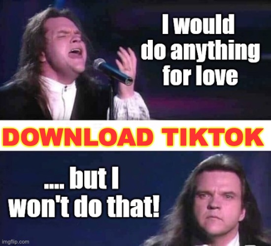 won't do that | DOWNLOAD TIKTOK | image tagged in meat loaf won't do that | made w/ Imgflip meme maker
