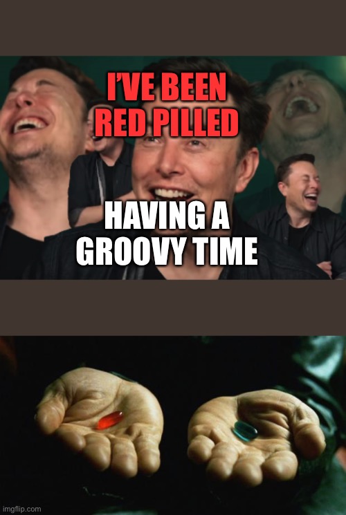 I’VE BEEN RED PILLED; HAVING A GROOVY TIME | image tagged in matrix,elon musk laughing | made w/ Imgflip meme maker