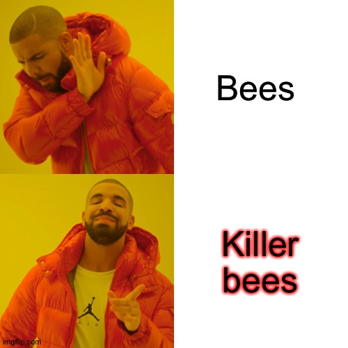 Drake Hotline Bling Meme | Bees; Killer bees | image tagged in memes,drake hotline bling | made w/ Imgflip meme maker