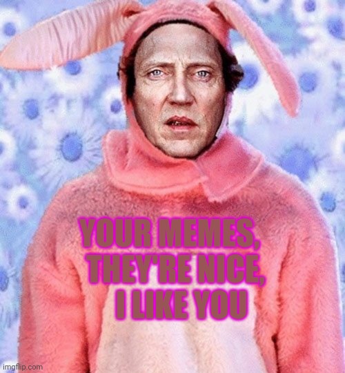 Christopher Walken Bunny | YOUR MEMES,   THEY'RE NICE,     I LIKE YOU | image tagged in christopher walken bunny | made w/ Imgflip meme maker