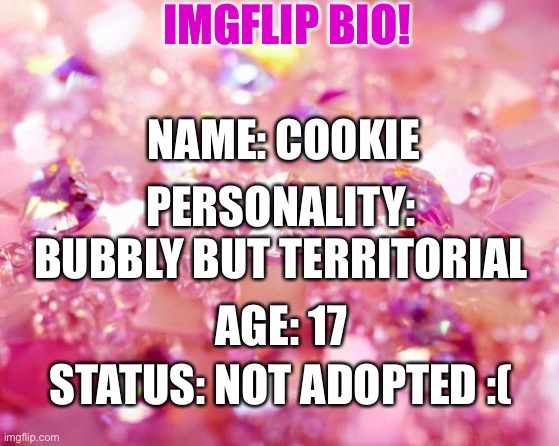 Bio for Imgflip_family stream | IMGFLIP BIO! NAME: COOKIE; PERSONALITY: BUBBLY BUT TERRITORIAL; AGE: 17; STATUS: NOT ADOPTED :( | image tagged in pink sparkle | made w/ Imgflip meme maker
