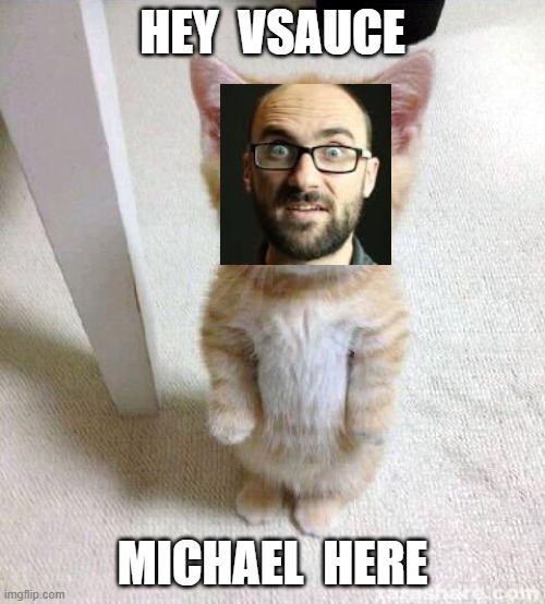 Michael | HEY  VSAUCE; MICHAEL  HERE | image tagged in memes,cute cat | made w/ Imgflip meme maker