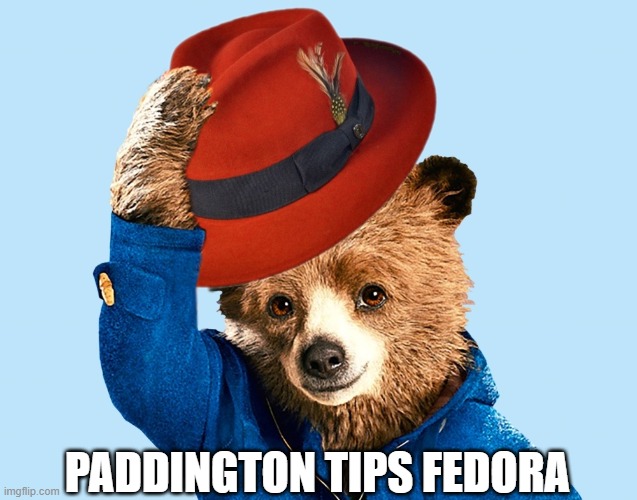 Paddington tips fedora | PADDINGTON TIPS FEDORA | image tagged in paddington,tips,fedora | made w/ Imgflip meme maker