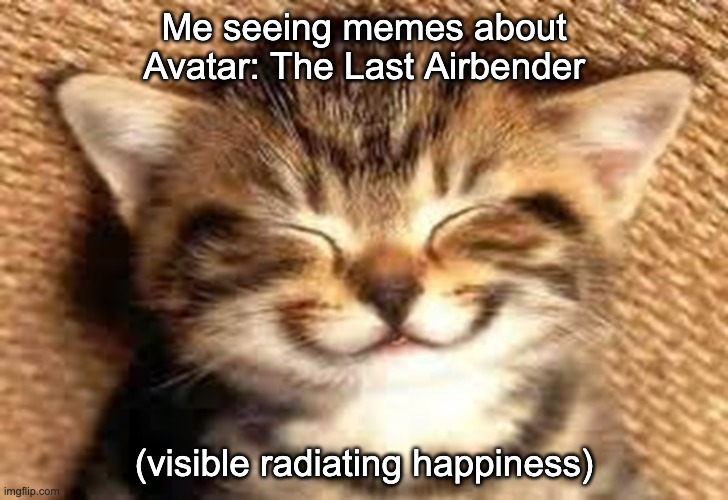 happy me | Me seeing memes about Avatar: The Last Airbender; (visible radiating happiness) | image tagged in happy cat | made w/ Imgflip meme maker