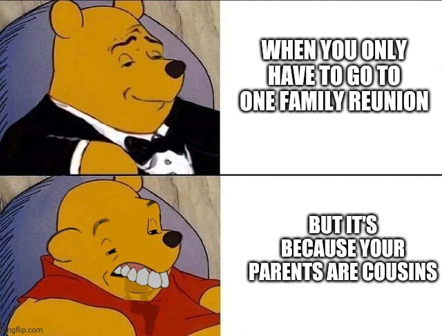 Winnie the Pooh | WHEN YOU ONLY HAVE TO GO TO ONE FAMILY REUNION; BUT IT'S BECAUSE YOUR PARENTS ARE COUSINS | image tagged in winnie the pooh | made w/ Imgflip meme maker