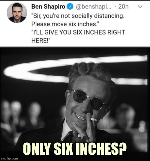 Only 6 inches | image tagged in ben shapiro,sex jokes,political humor,social distancing,small penis,dick | made w/ Imgflip meme maker