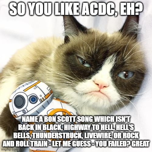 Grumpy Cat Star Wars | SO YOU LIKE ACDC, EH? NAME A BON SCOTT SONG WHICH ISN'T BACK IN BLACK, HIGHWAY TO HELL, HELL'S BELLS, THUNDERSTRUCK, LIVEWIRE, OR ROCK AND ROLL TRAIN - LET ME GUESS - YOU FAILED? GREAT | image tagged in grumpy cat star wars,grumpy cat,musically malicious grumpy cat,grumpy cat not amused,acdc | made w/ Imgflip meme maker