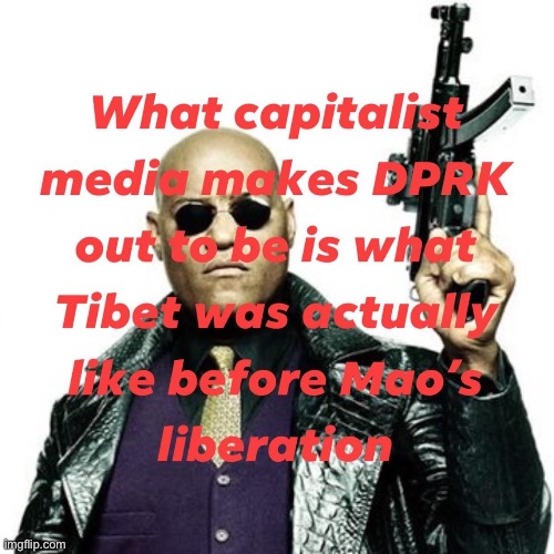 I am picking up very strong vibes that this is wrong | image tagged in leftists,leftist,cringe,cringe worthy,north korea,morpheus | made w/ Imgflip meme maker