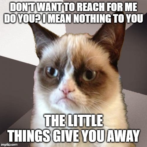 Musically Malicious Grumpy Cat | DON'T WANT TO REACH FOR ME DO YOU? I MEAN NOTHING TO YOU; THE LITTLE THINGS GIVE YOU AWAY | image tagged in musically malicious grumpy cat,grumpy cat,linkin park,grumpy cat not amused | made w/ Imgflip meme maker