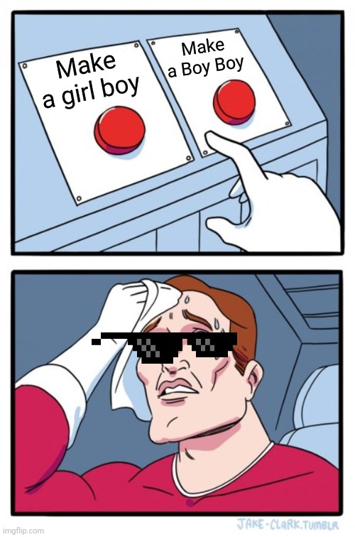 Two Buttons | Make a Boy Boy; Make a girl boy | image tagged in memes,two buttons | made w/ Imgflip meme maker