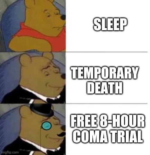 SLEEP; TEMPORARY DEATH; FREE 8-HOUR COMA TRIAL | image tagged in tuxedo winnie the pooh 3 panel | made w/ Imgflip meme maker