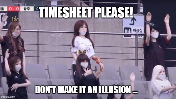 Timesheet illusion | TIMESHEET PLEASE! DON'T MAKE IT AN ILLUSION ... | image tagged in timesheet illusion,timesheet meme | made w/ Imgflip meme maker