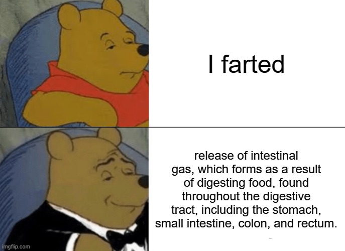 Tuxedo Winnie The Pooh | I farted; release of intestinal gas, which forms as a result of digesting food, found throughout the digestive tract, including the stomach, small intestine, colon, and rectum. | image tagged in memes,tuxedo winnie the pooh | made w/ Imgflip meme maker