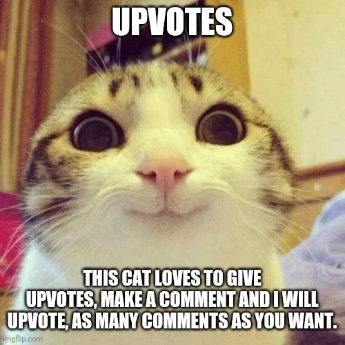 Generous kitten. | UPVOTES; THIS CAT LOVES TO GIVE UPVOTES, MAKE A COMMENT AND I WILL UPVOTE, AS MANY COMMENTS AS YOU WANT. | image tagged in memes,smiling cat | made w/ Imgflip meme maker