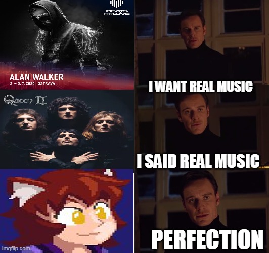 i want real music | I WANT REAL MUSIC; I SAID REAL MUSIC; PERFECTION | image tagged in perfection,alan walker,queen,dm dokuro,terraria,memes | made w/ Imgflip meme maker