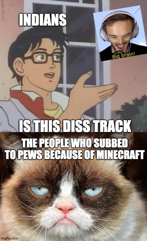 really no joke | INDIANS; IS THIS DISS TRACK; THE PEOPLE WHO SUBBED TO PEWS BECAUSE OF MINECRAFT | image tagged in memes,grumpy cat not amused,is this a pigeon | made w/ Imgflip meme maker