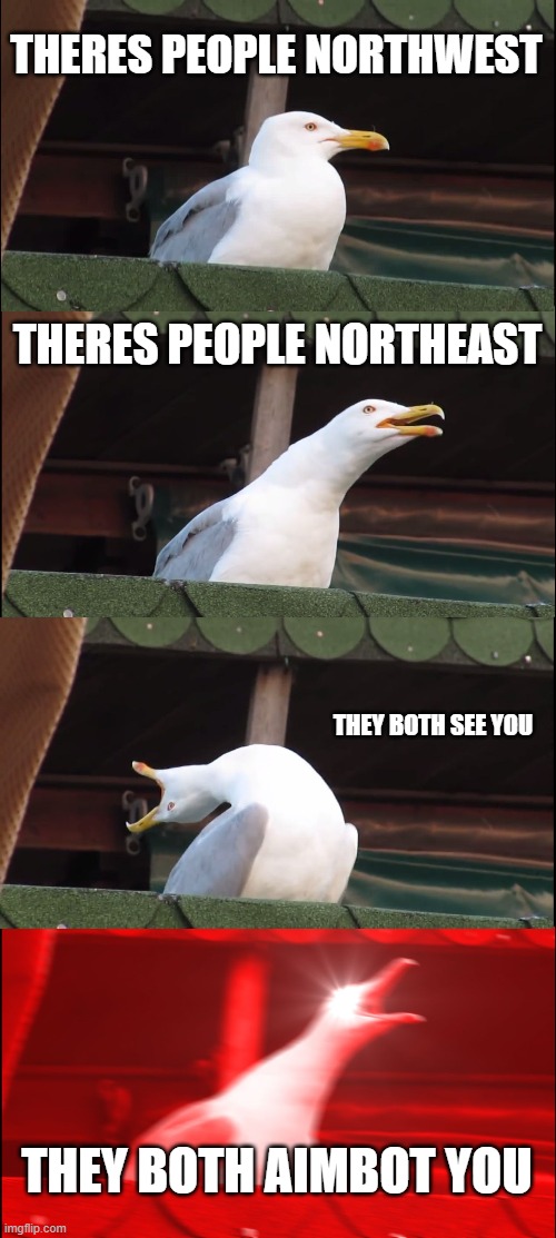idk what to name this xd | THERES PEOPLE NORTHWEST; THERES PEOPLE NORTHEAST; THEY BOTH SEE YOU; THEY BOTH AIMBOT YOU | image tagged in memes,inhaling seagull | made w/ Imgflip meme maker