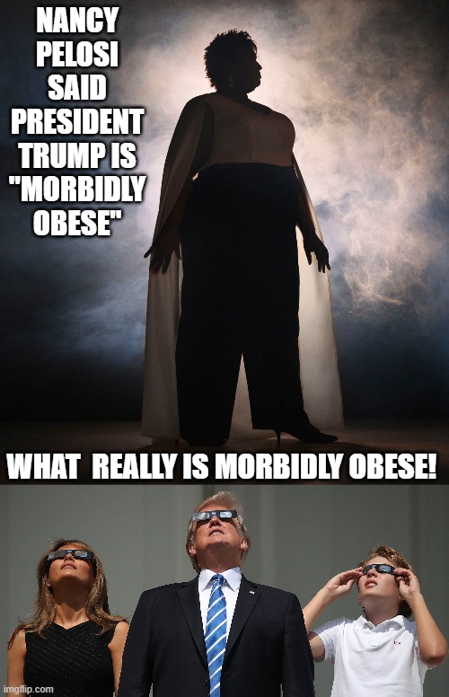 What Really Is Morbidly Obese! | NANCY PELOSI SAID PRESIDENT TRUMP IS "MORBIDLY OBESE"; WHAT  REALLY IS MORBIDLY OBESE! | image tagged in fat,trump,nancy pelosi,democrats | made w/ Imgflip meme maker