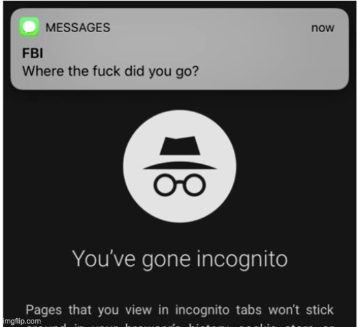 My FBI agent | image tagged in baby jesus for mod,funny,memes | made w/ Imgflip meme maker