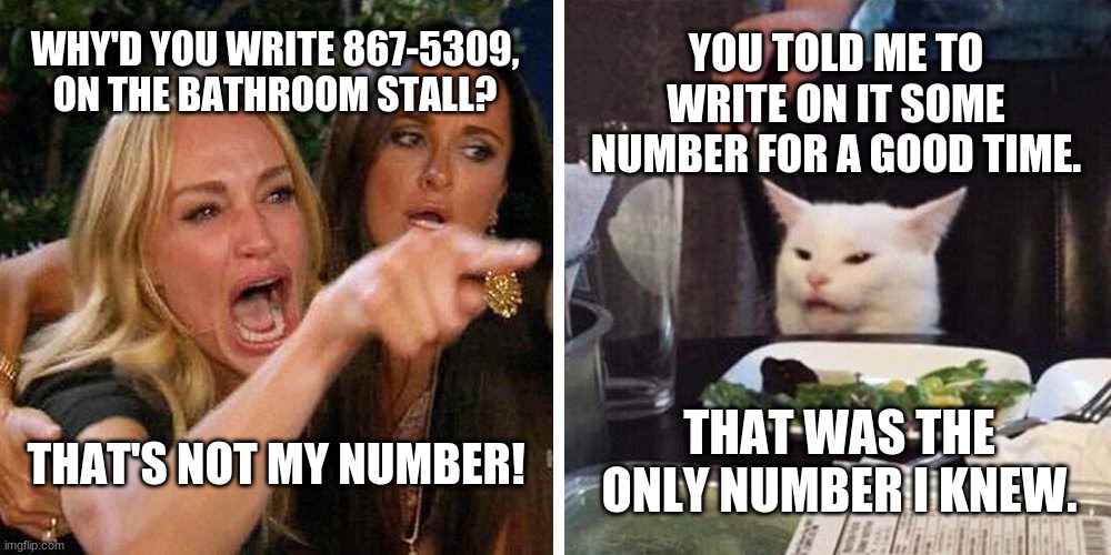 Memorable songs | YOU TOLD ME TO WRITE ON IT SOME NUMBER FOR A GOOD TIME. WHY'D YOU WRITE 867-5309, ON THE BATHROOM STALL? THAT WAS THE ONLY NUMBER I KNEW. THAT'S NOT MY NUMBER! | image tagged in smudge the cat,memes,woman yelling at cat,smudge,white cat | made w/ Imgflip meme maker