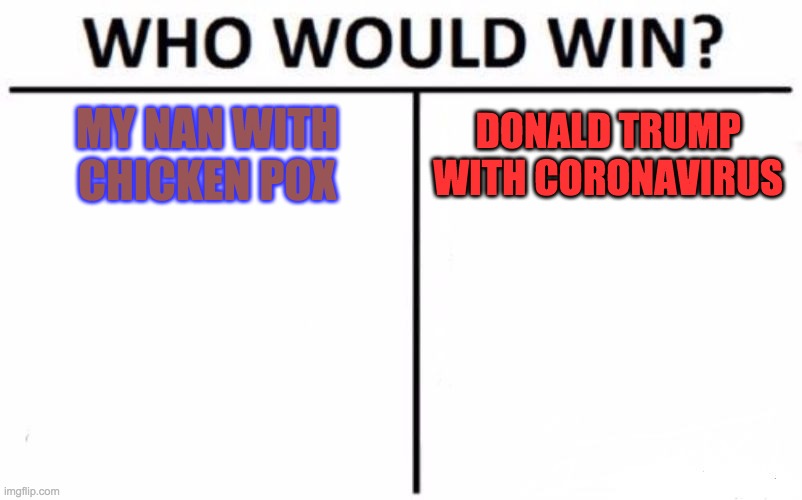Who Would Win? Meme | MY NAN WITH CHICKEN POX; DONALD TRUMP WITH CORONAVIRUS | image tagged in memes,who would win | made w/ Imgflip meme maker