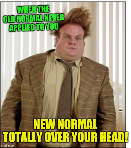 New normal? | WHEN THE OLD NORMAL NEVER APPLIED TO YOU; NEW NORMAL TOTALLY OVER YOUR HEAD! | image tagged in chris farley hair,coronavirus,new normal | made w/ Imgflip meme maker