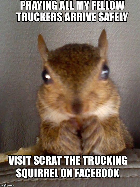 image tagged in scrat the trucking squirrel begs | made w/ Imgflip meme maker