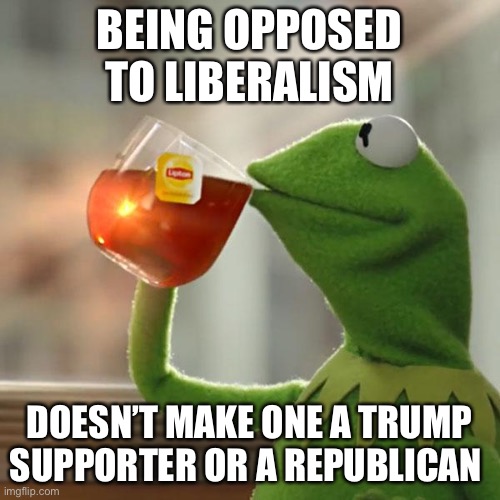 But That's None Of My Business Meme | BEING OPPOSED TO LIBERALISM DOESN’T MAKE ONE A TRUMP SUPPORTER OR A REPUBLICAN | image tagged in memes,but that's none of my business,kermit the frog | made w/ Imgflip meme maker